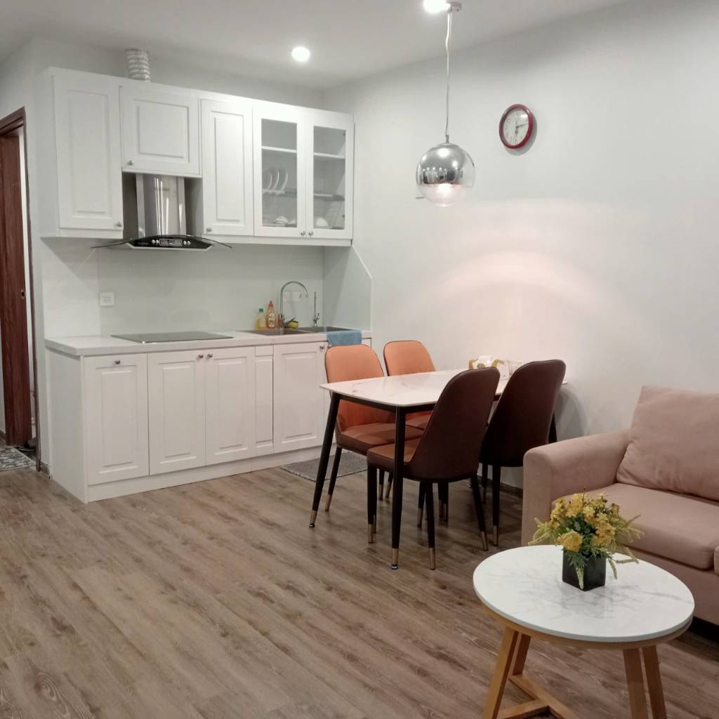 Cho thuê căn hộ 1PN,1K full đồ đẹp tại Vinhome Dcapitale