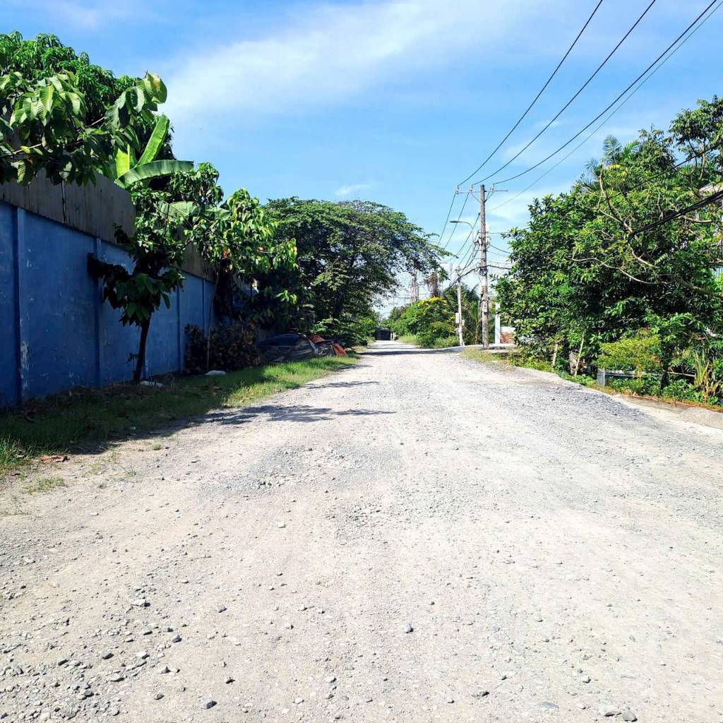 thuviennhadat.vn
