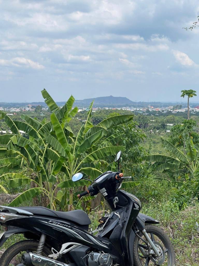 thuviennhadat.vn