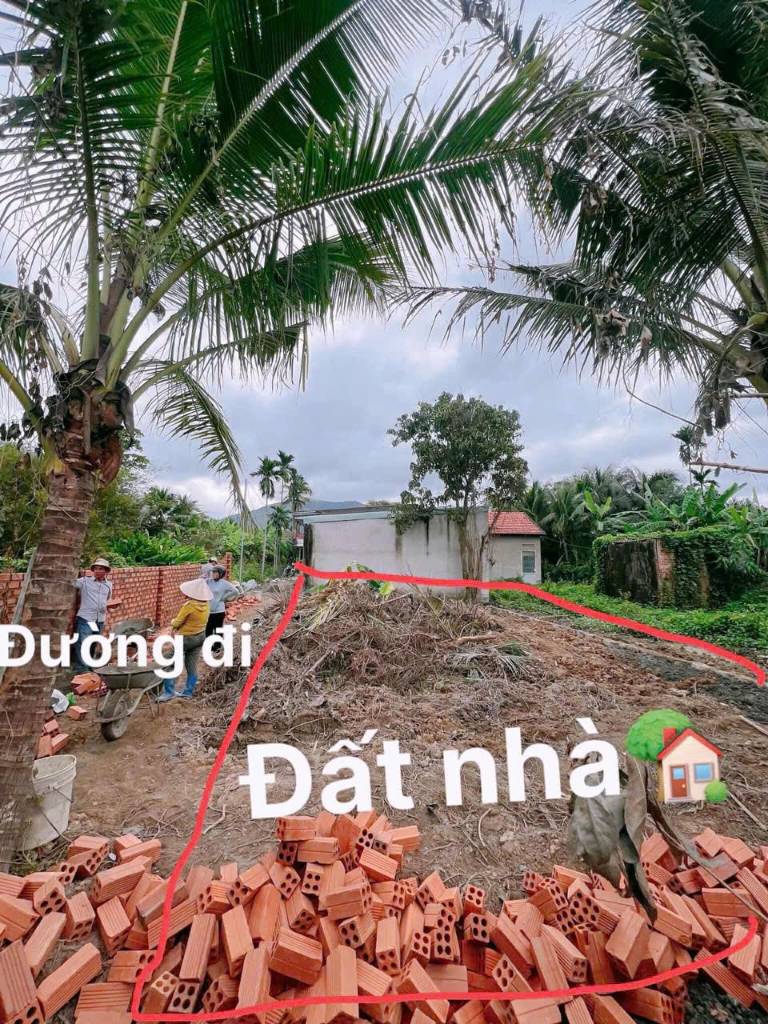 thuviennhadat.vn