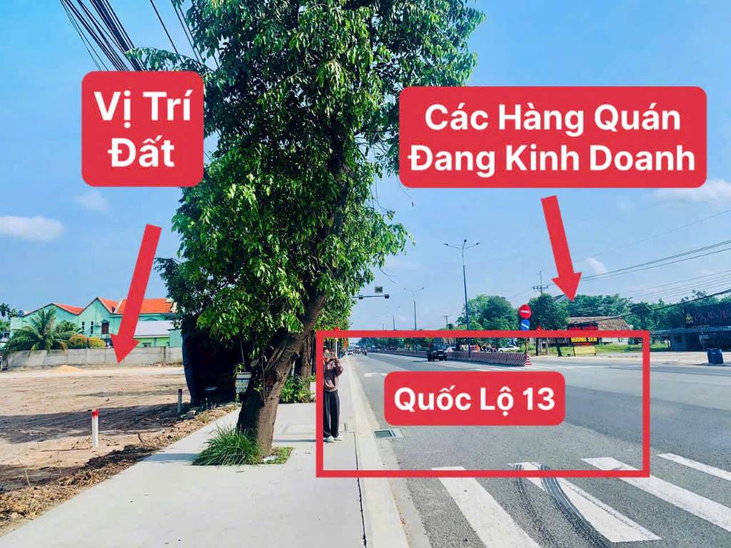thuviennhadat.vn