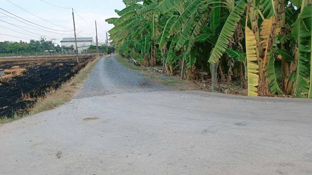 thuviennhadat.vn
