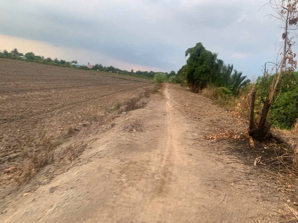 thuviennhadat.vn