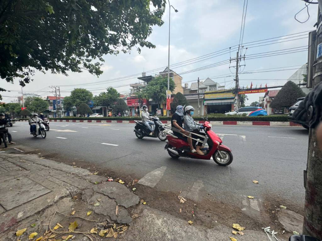 thuviennhadat.vn