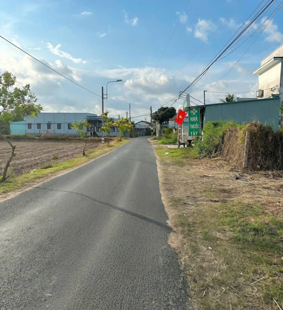 thuviennhadat.vn