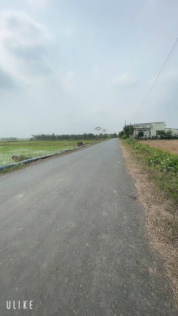 thuviennhadat.vn