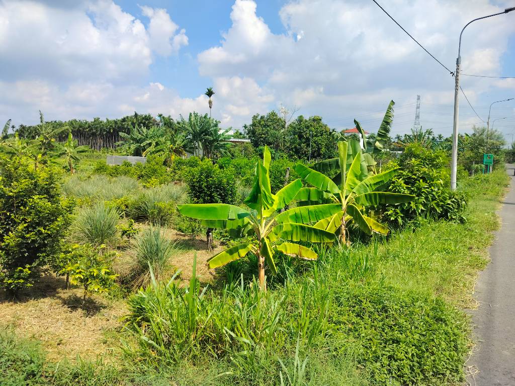 thuviennhadat.vn