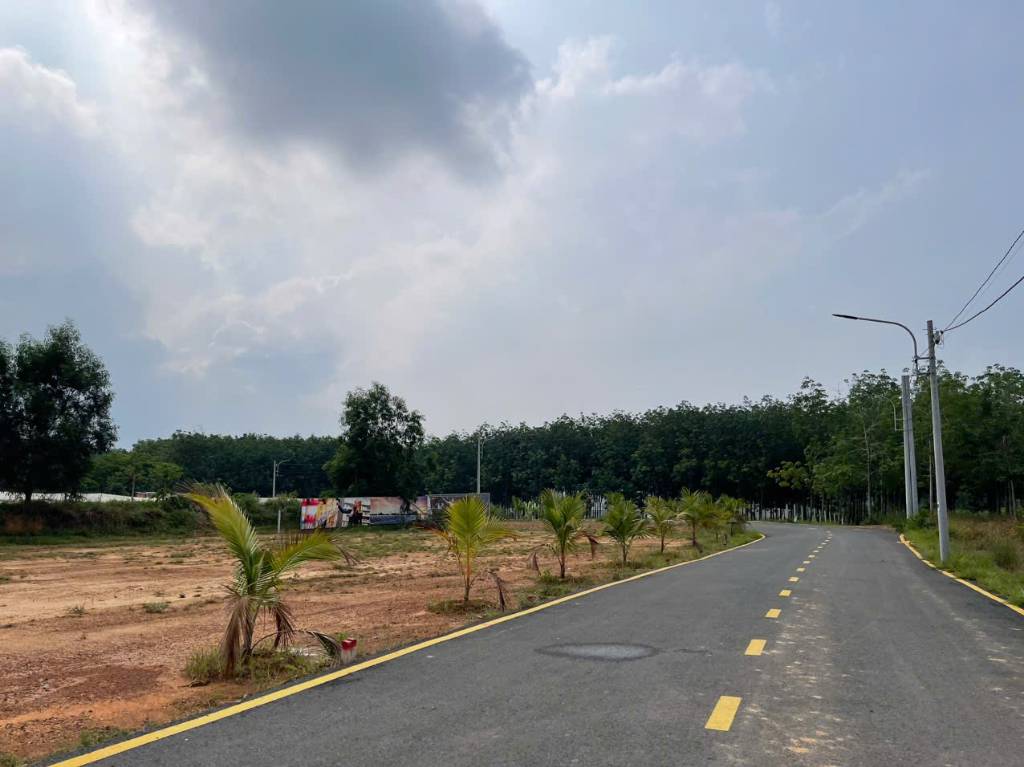 thuviennhadat.vn