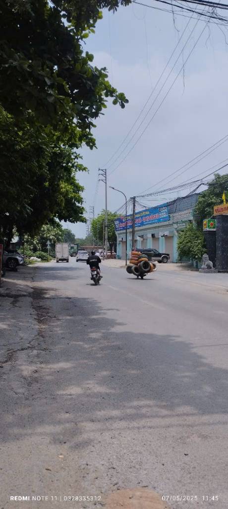 thuviennhadat.vn
