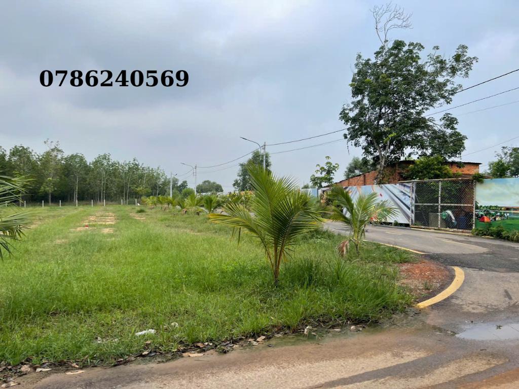 thuviennhadat.vn