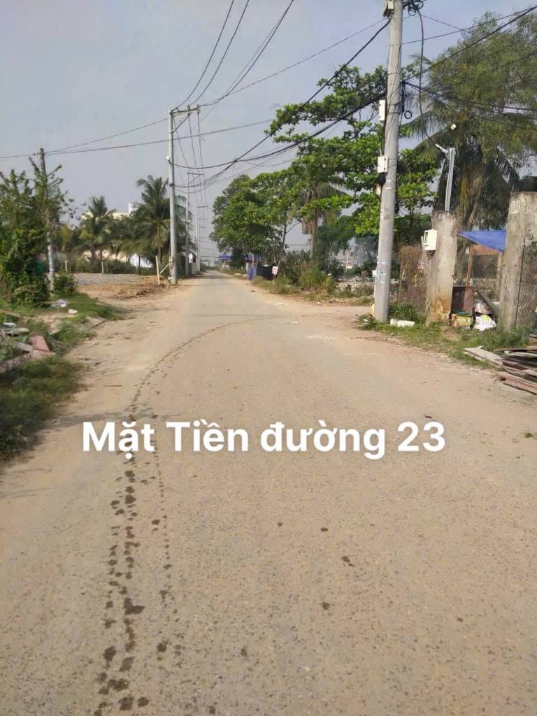 thuviennhadat.vn