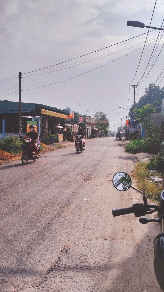 thuviennhadat.vn