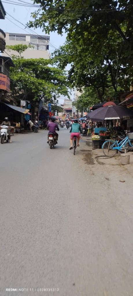 thuviennhadat.vn