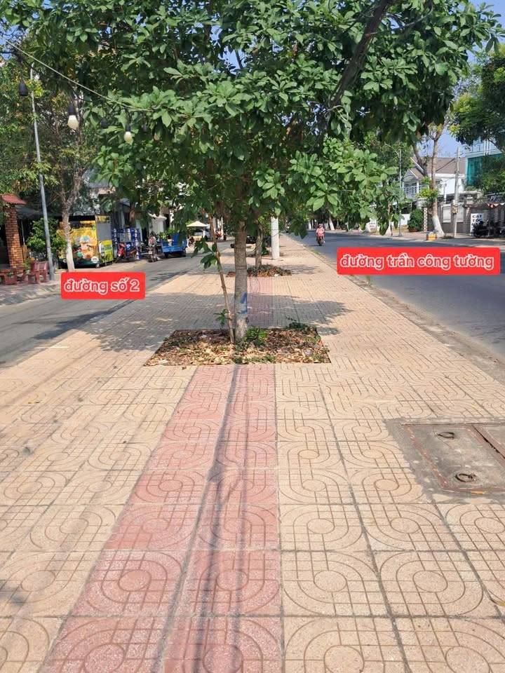 thuviennhadat.vn