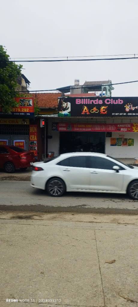 thuviennhadat.vn