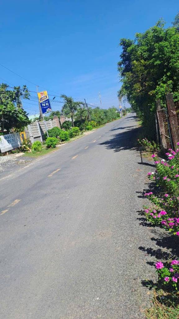 thuviennhadat.vn