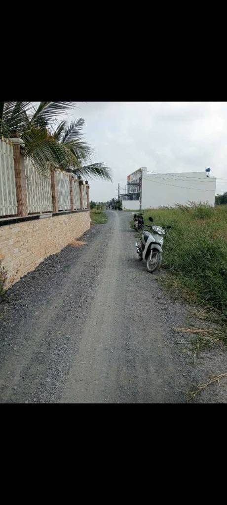 thuviennhadat.vn