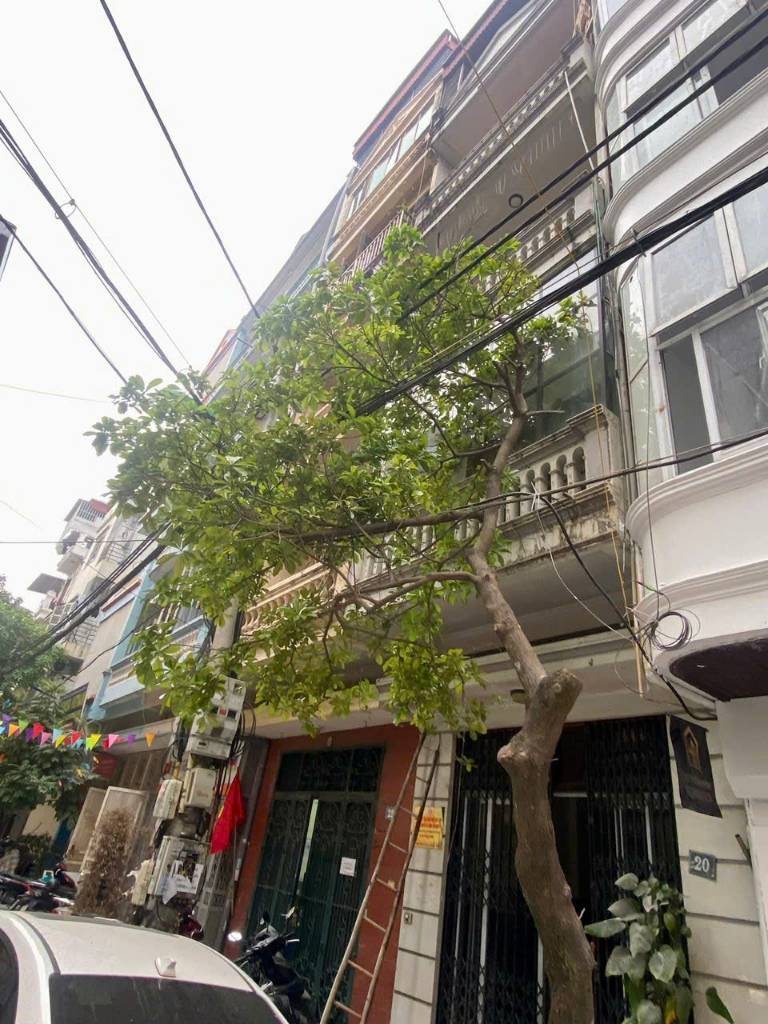 thuviennhadat.vn