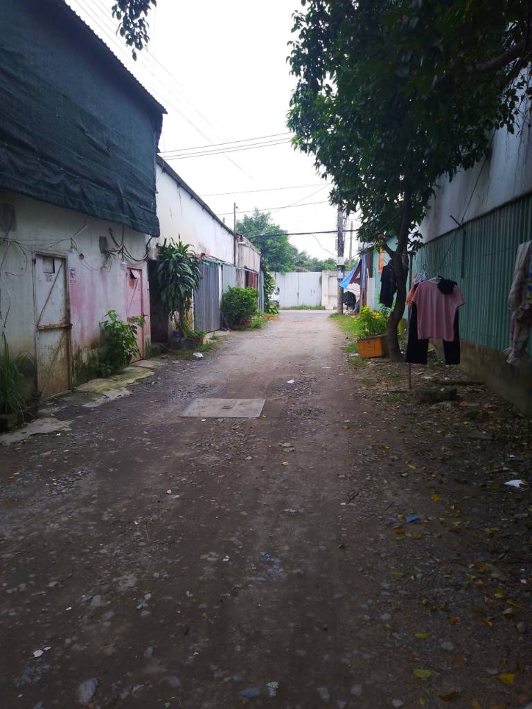 thuviennhadat.vn
