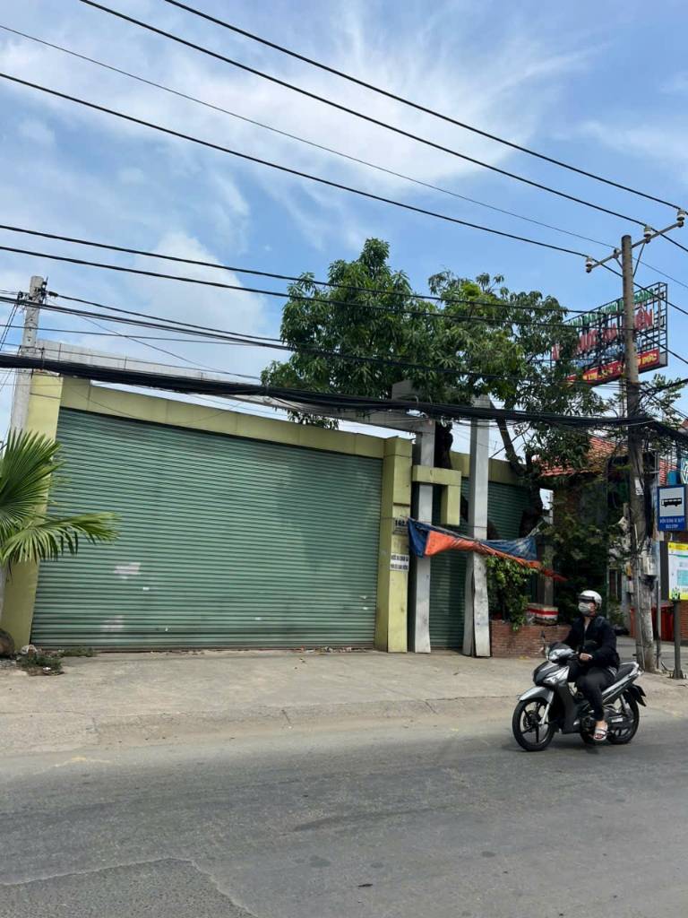 thuviennhadat.vn