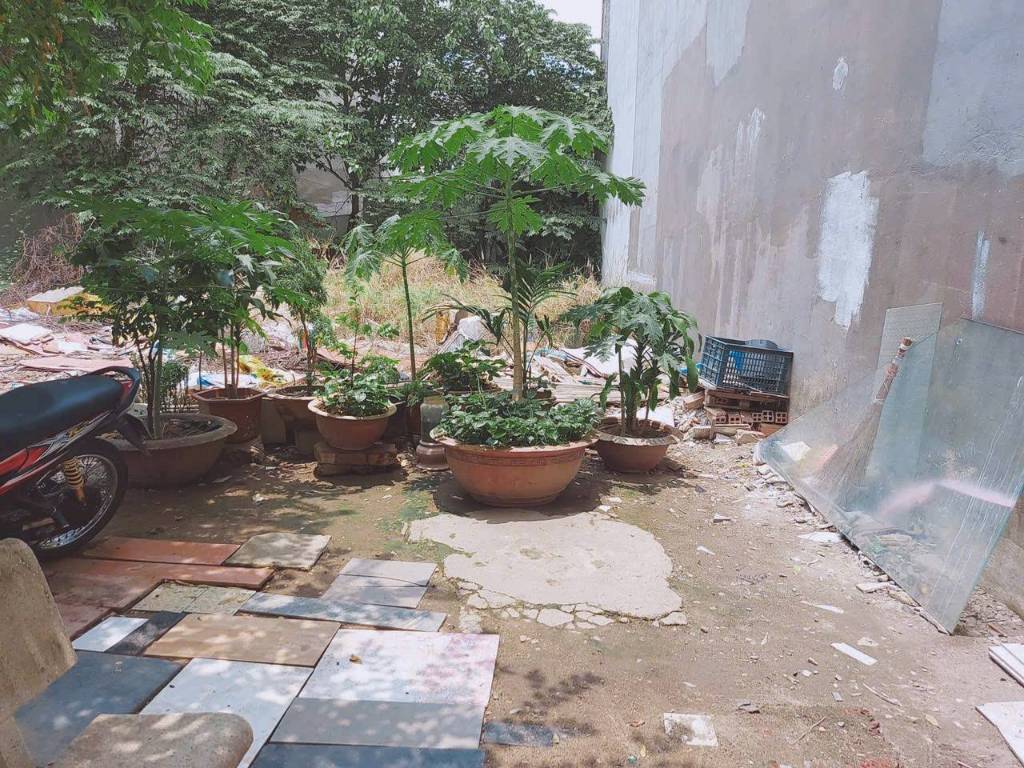 thuviennhadat.vn
