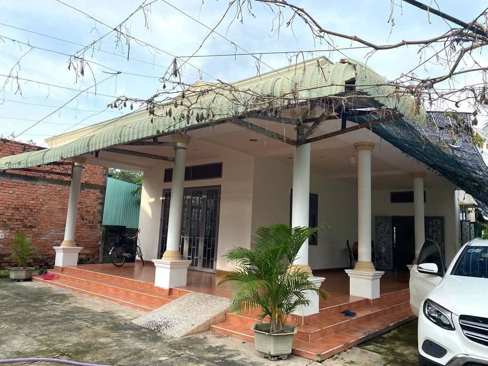 thuviennhadat.vn