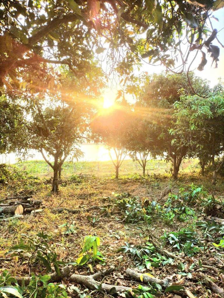Cơ hội đầu tư đất vườn nghỉ dưỡng La Ngà - View hồ Trị An thoáng mát, tiềm năng sinh lời cao