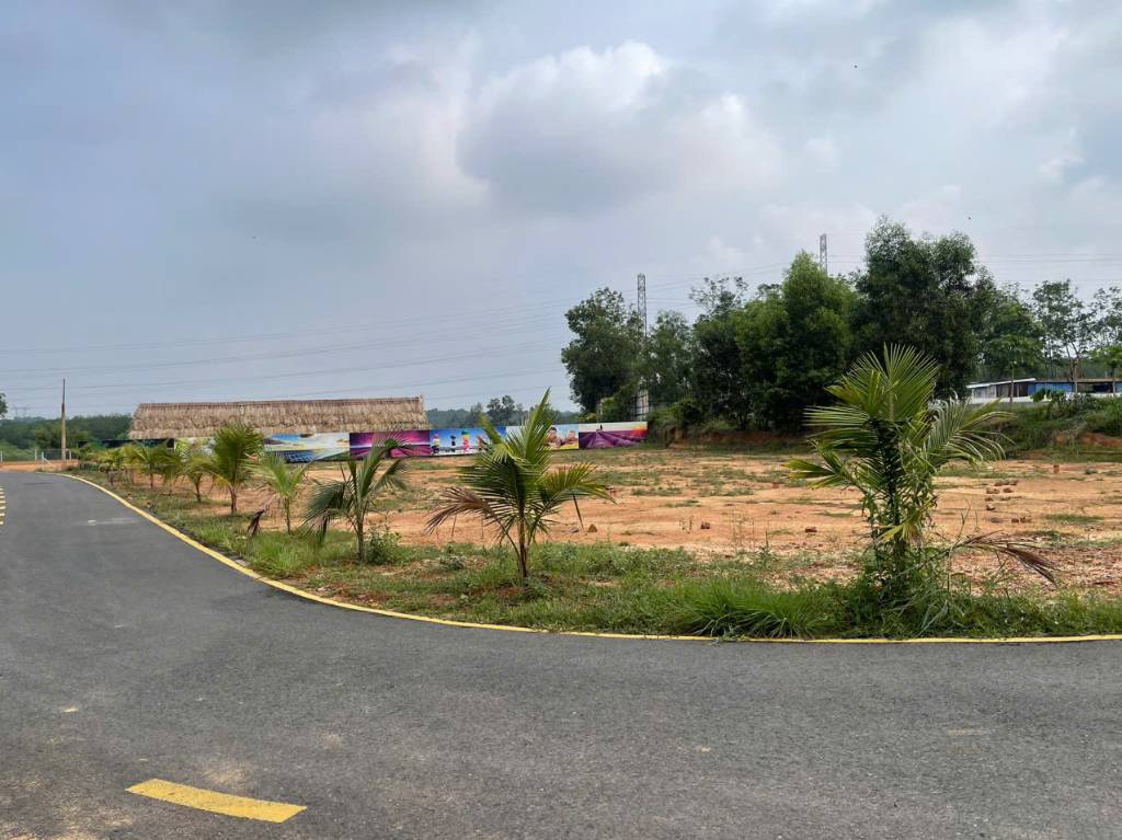 Bán đất vị trí vàng Tân Định, Bến Cát, giá đầu tư cực mềm