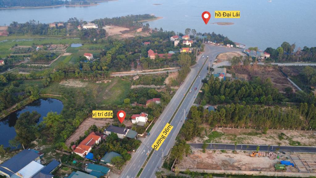 thuviennhadat.vn