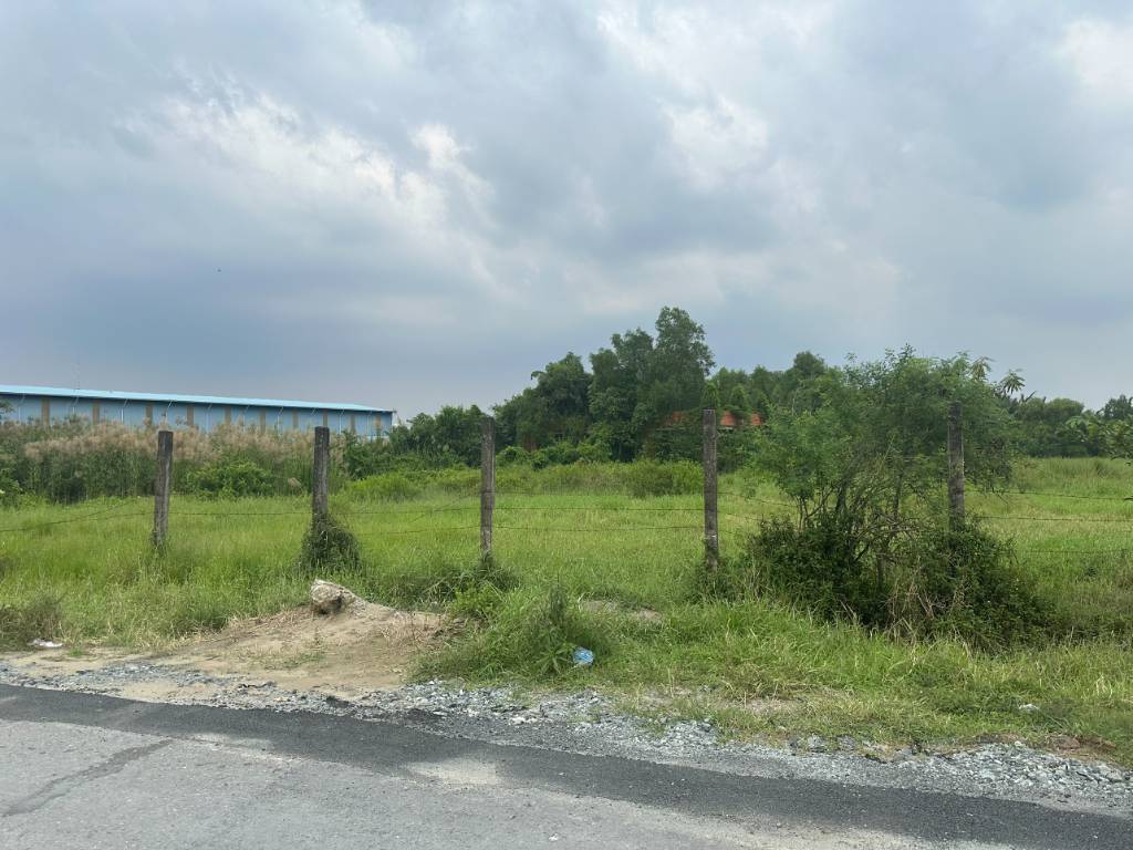 thuviennhadat.vn