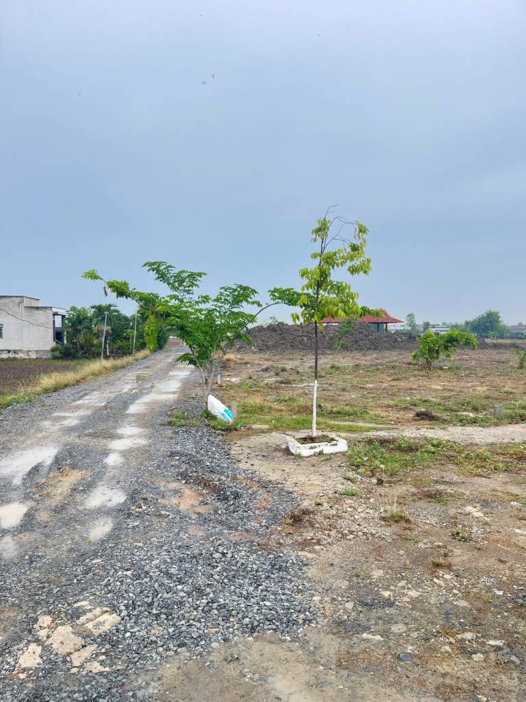 Bán đất nền Trương Định, thị trấn Cần Đước, Long An, diện tích 96,5m2, sổ hồng đầy đủ, giá 1,45 tỷ