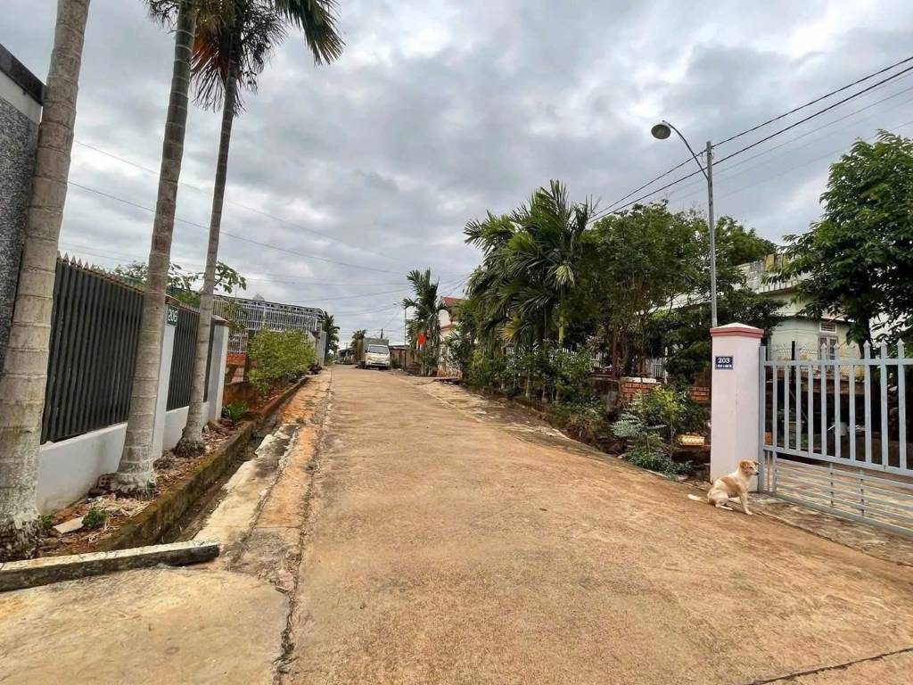 thuviennhadat.vn