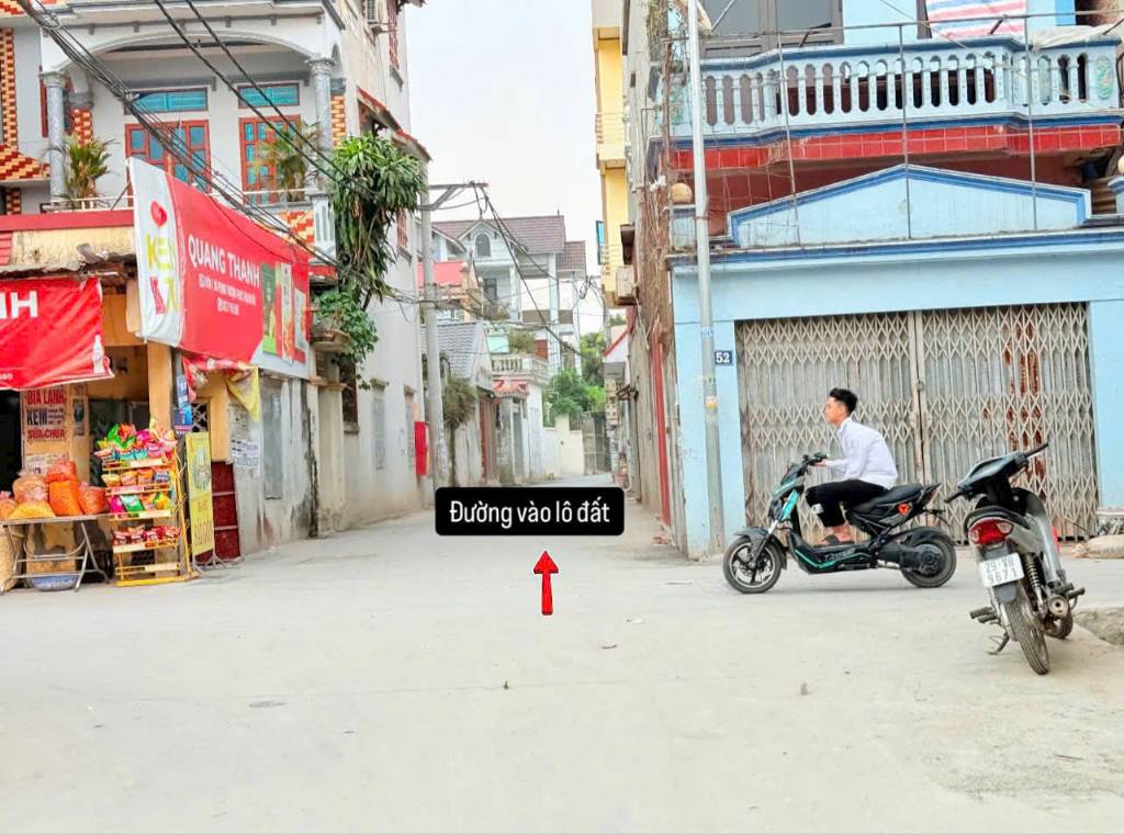 thuviennhadat.vn