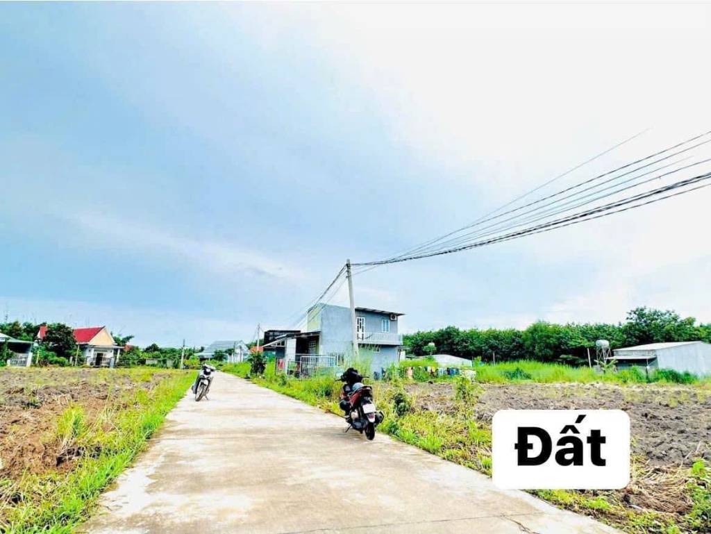 thuviennhadat.vn