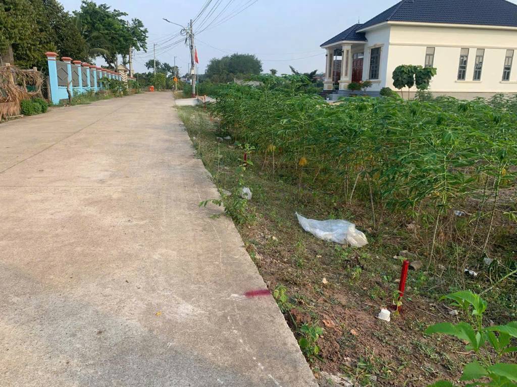 thuviennhadat.vn