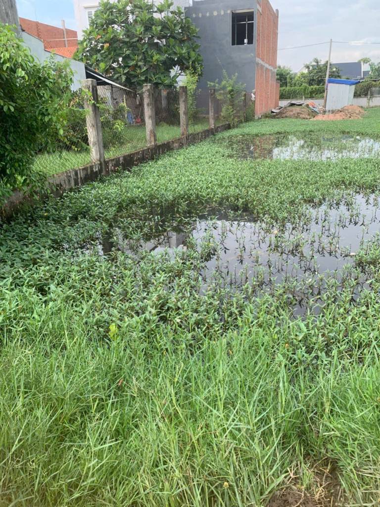 thuviennhadat.vn