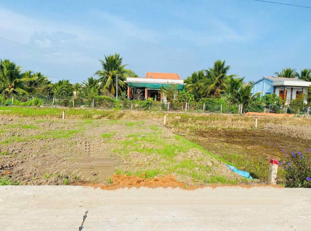 thuviennhadat.vn