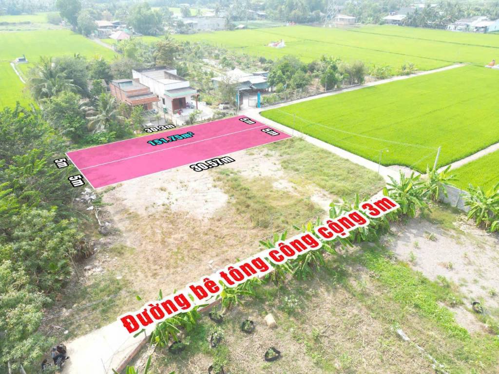 thuviennhadat.vn