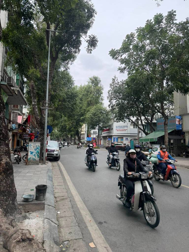 thuviennhadat.vn