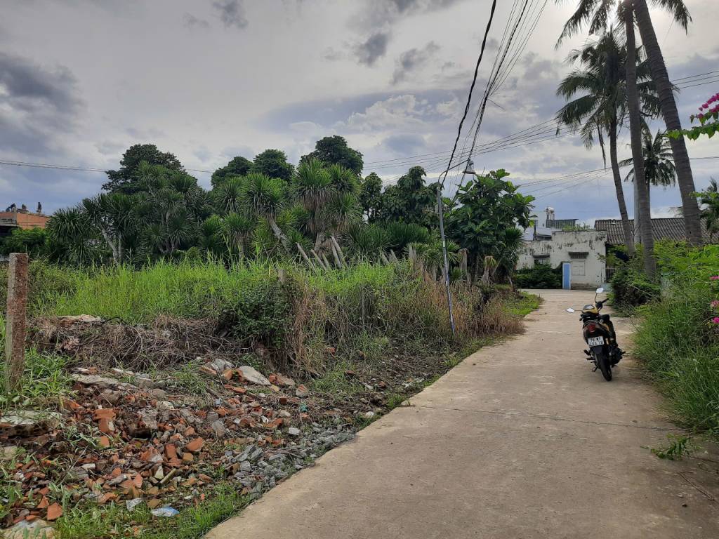 thuviennhadat.vn