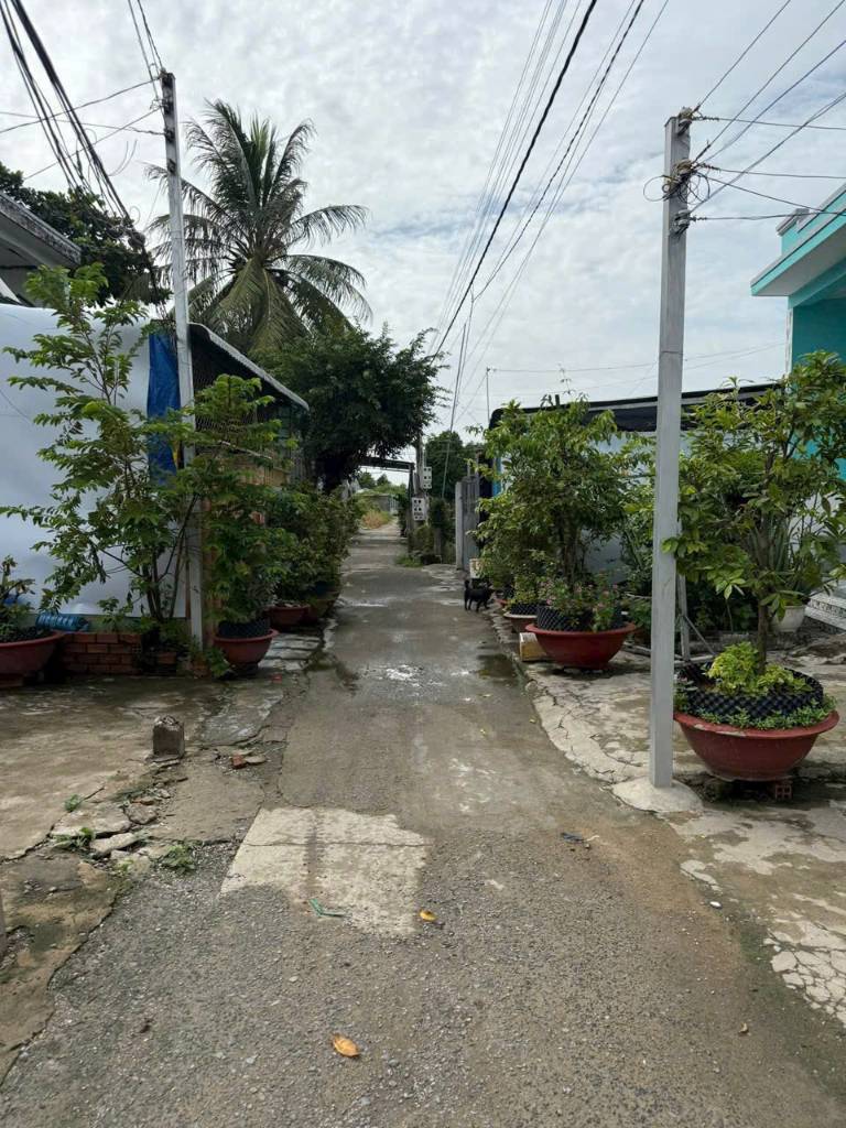 thuviennhadat.vn