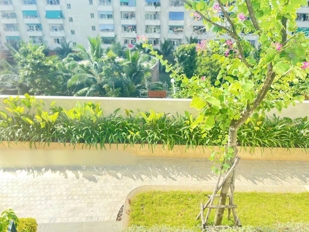 thuviennhadat.vn