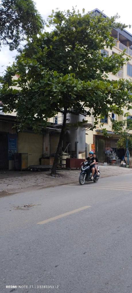 thuviennhadat.vn