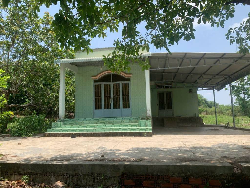 thuviennhadat.vn