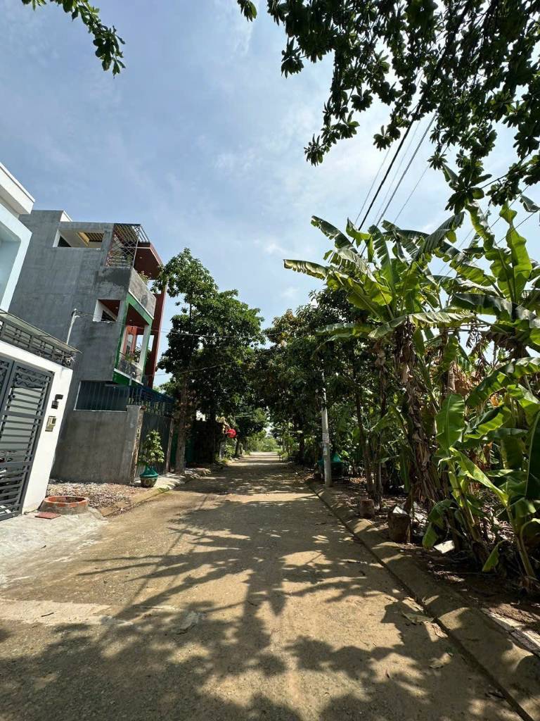 thuviennhadat.vn
