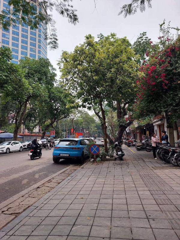 thuviennhadat.vn