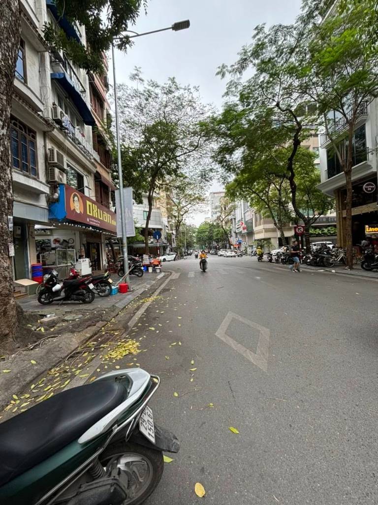 thuviennhadat.vn