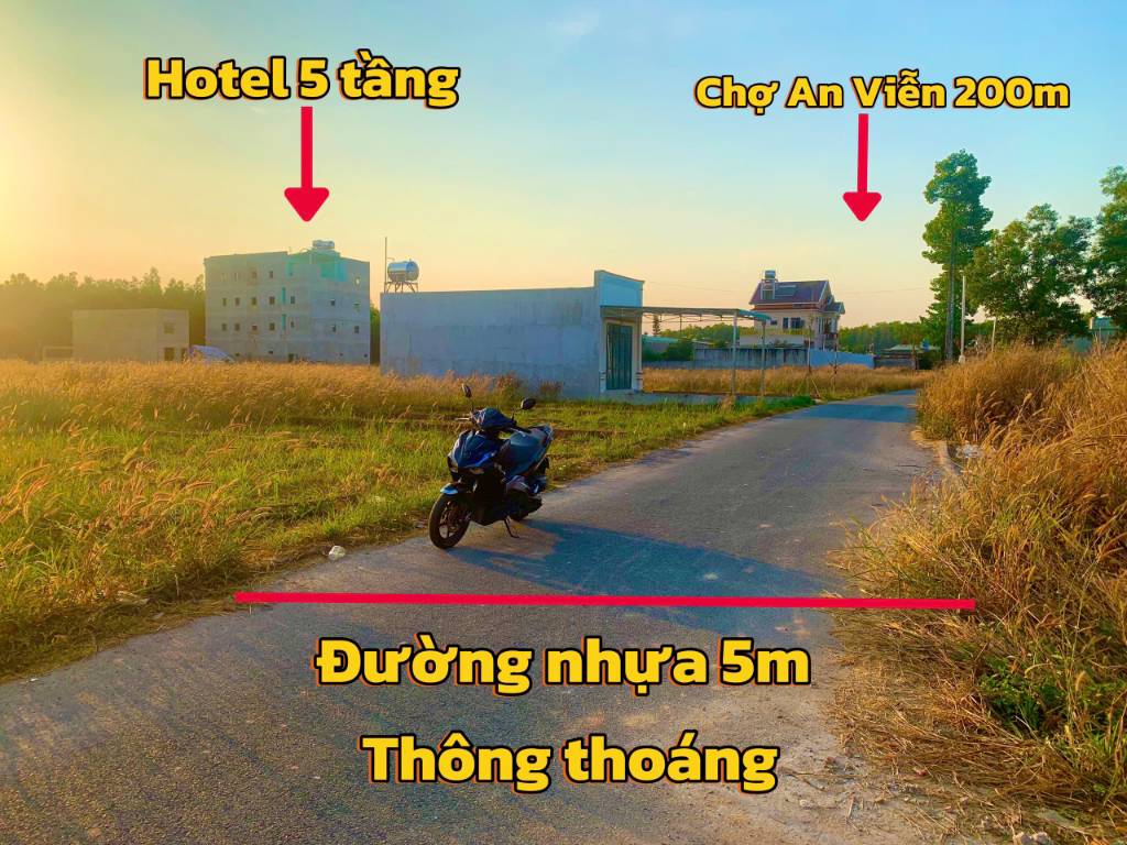 thuviennhadat.vn