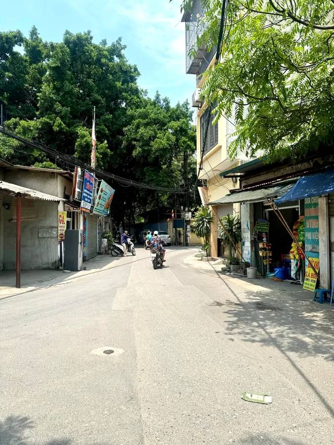 thuviennhadat.vn