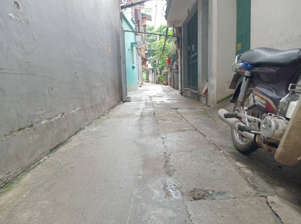 thuviennhadat.vn